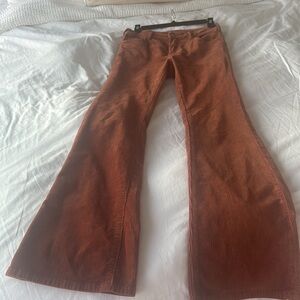 Pilcro Corduroy Pants in Rich Brown
